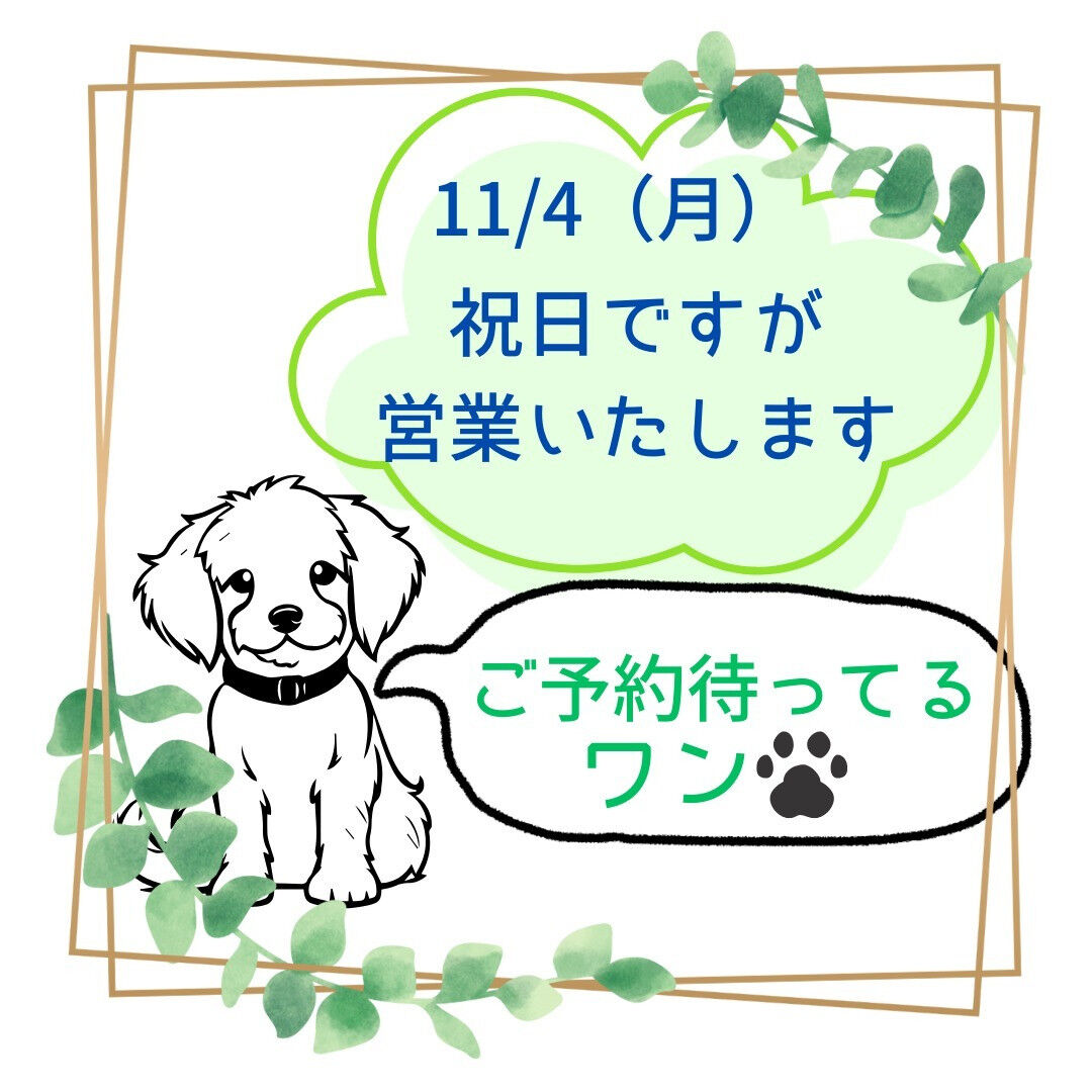 11/4(月)は祝日ですが営業いたします