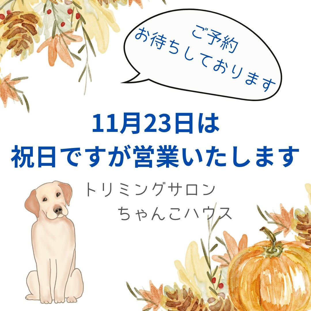 ご予約お待ちしております🐕