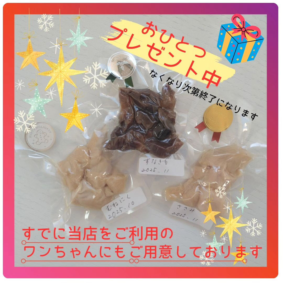 当店を初めてのご利用のワンちゃん10%OFFキャンペーン中で