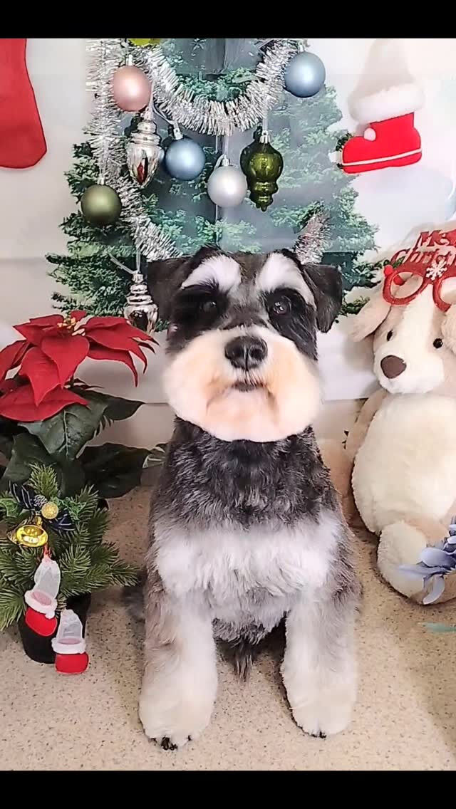 あかねちゃん🐶