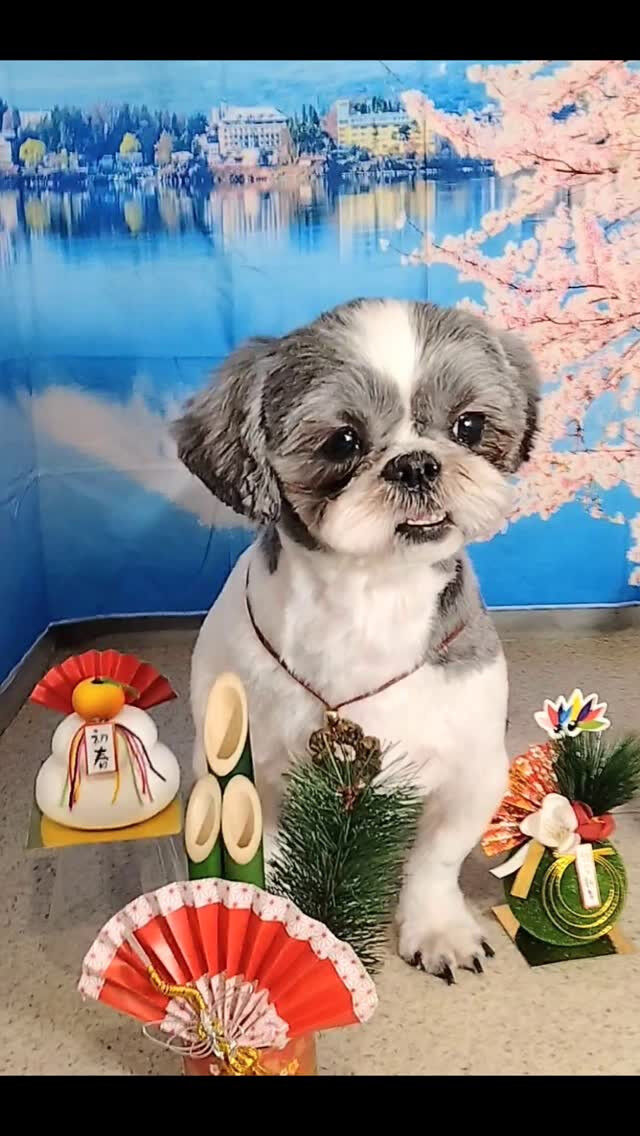 モグちゃん🐶