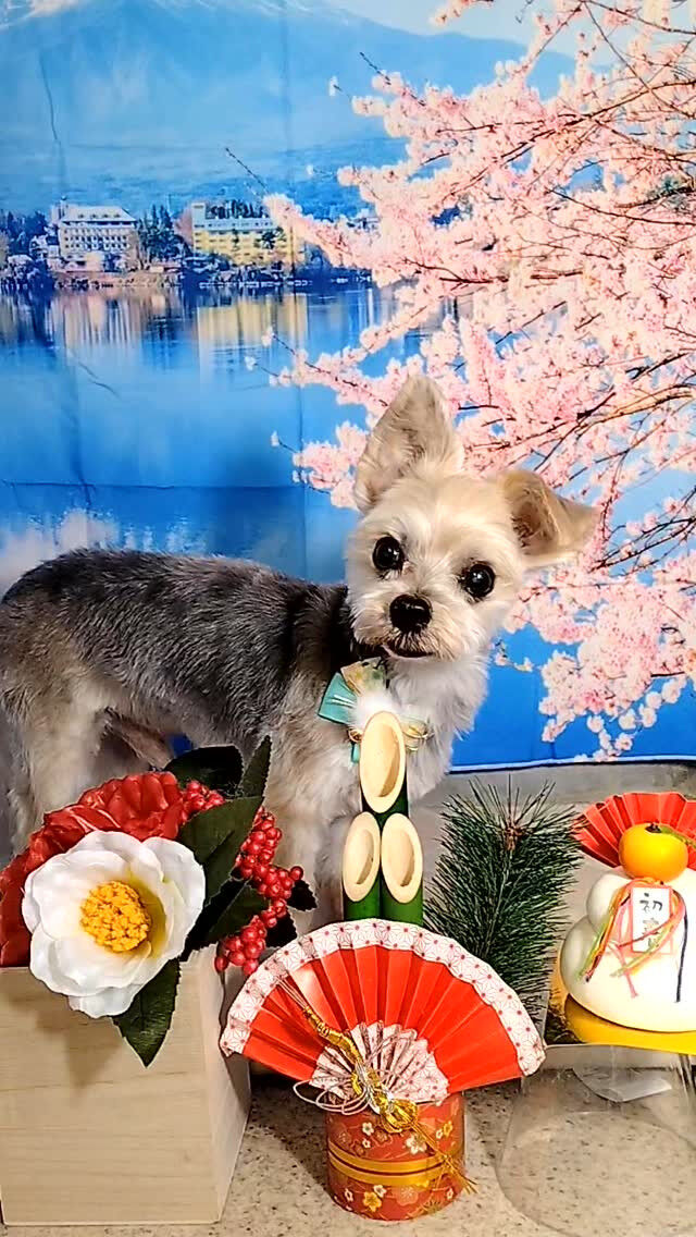 鈴太郎くん🐶