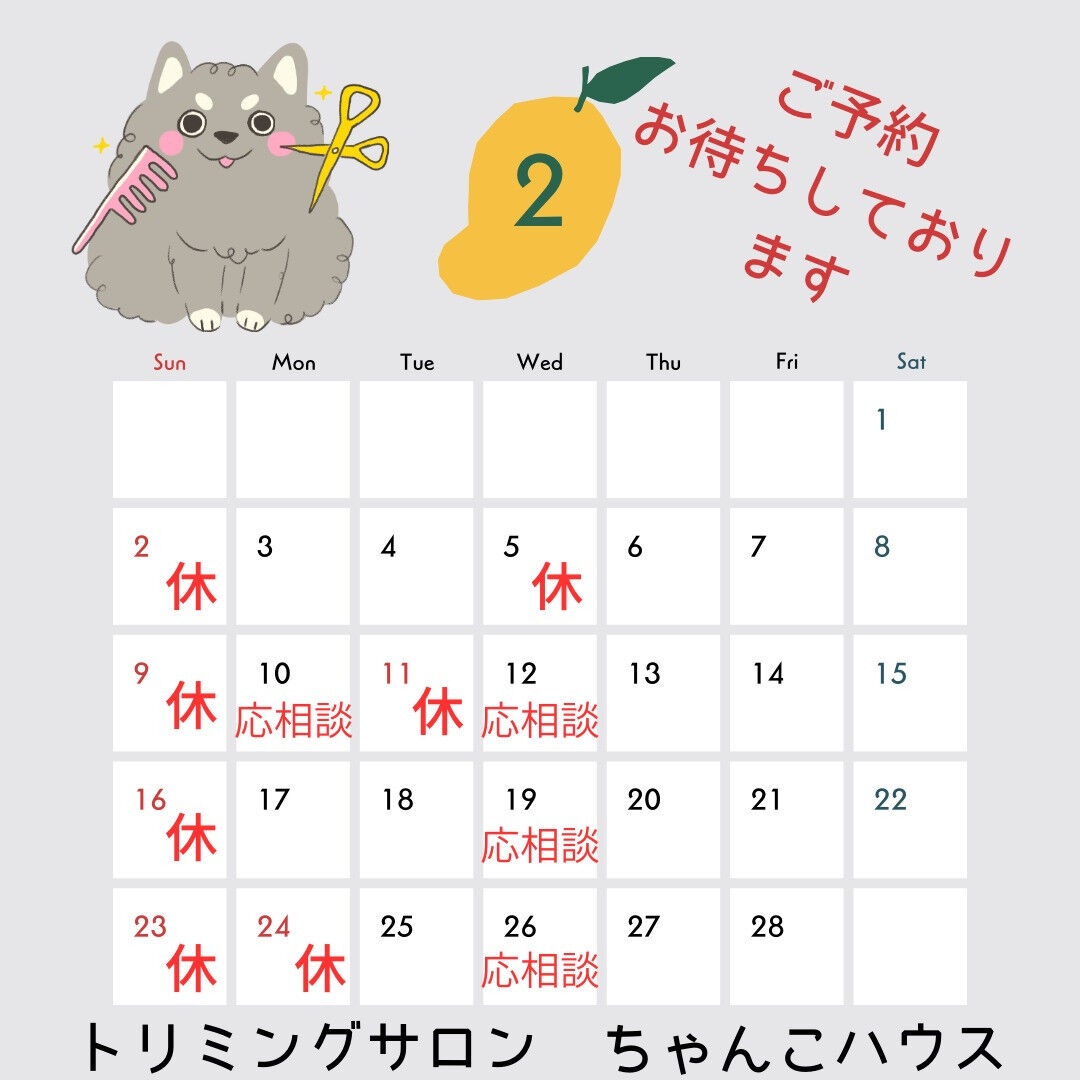 トリミングサロンちゃんこハウスです🛀