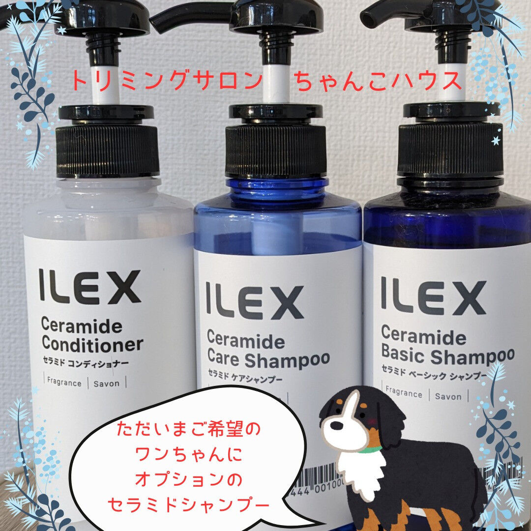トリミングサロン　ちゃんこハウスです😊
