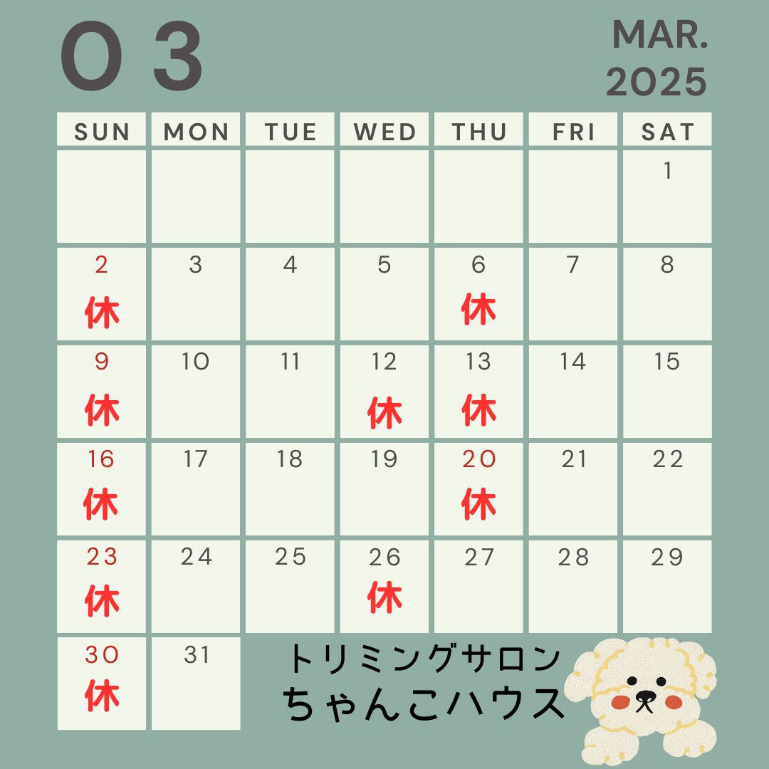 ３月のお知らせです😊