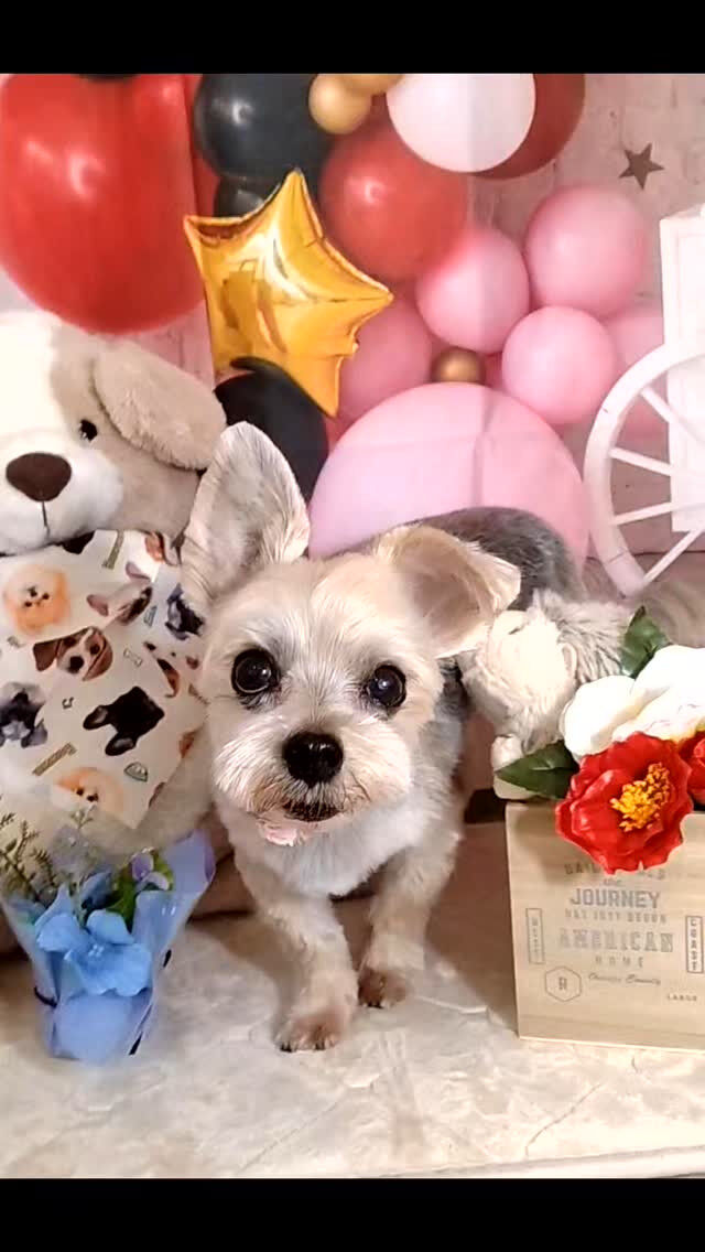 鈴太郎くん🐶