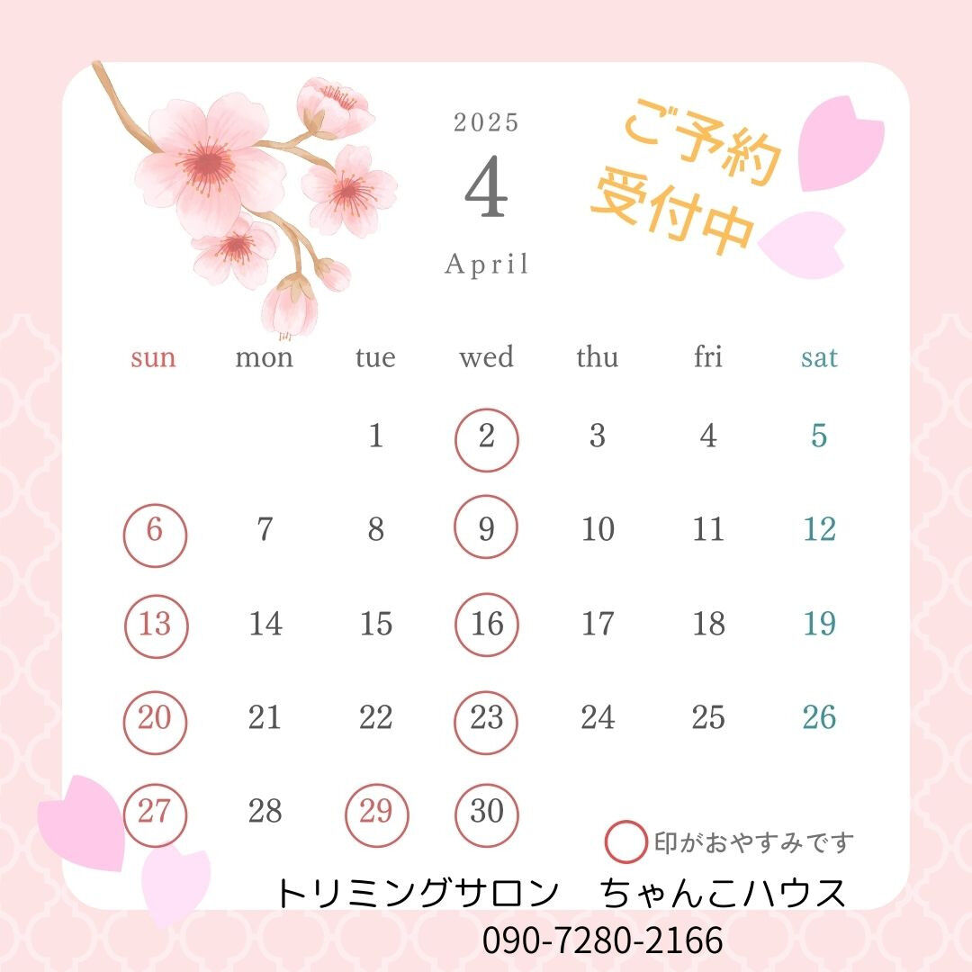 ４月の予定です🌸