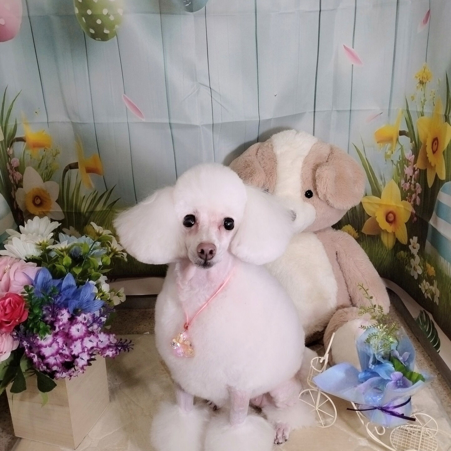 オプションおまとめサービスメニューです😊