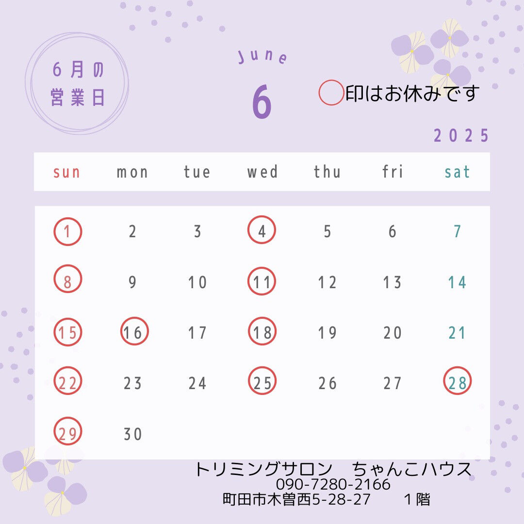 トリミングサロン　ちゃんこハウスからお知らせです😊