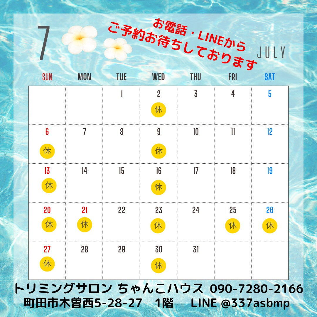 トリミングサロンちゃんこハウスからのお知らせです😊