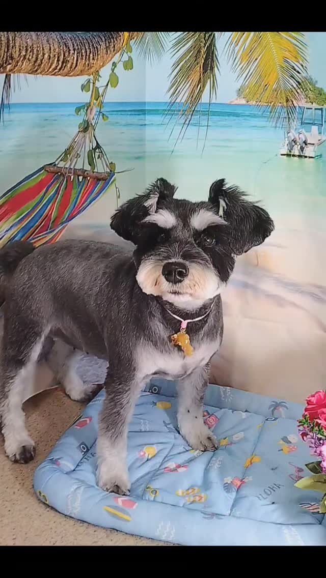 紅ちゃん🐶