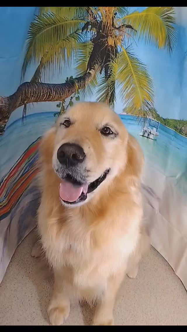 ビビちゃん🐶