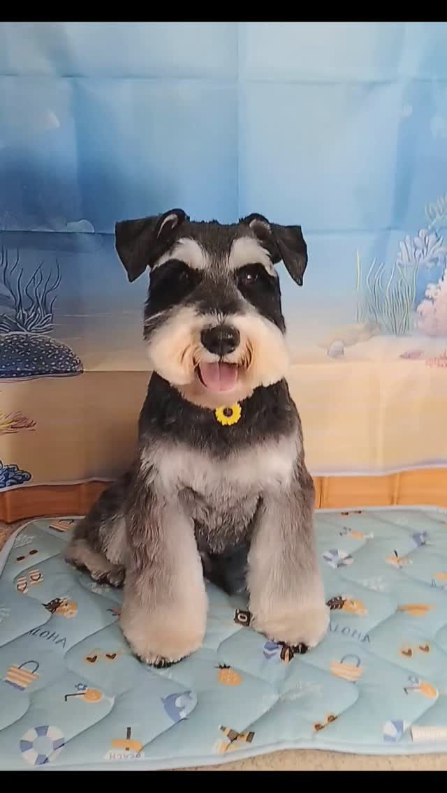あかねちゃん🐶