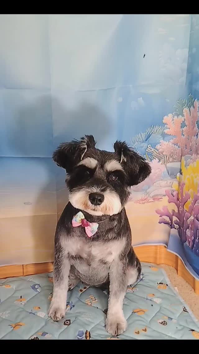 紅ちゃん🐶
