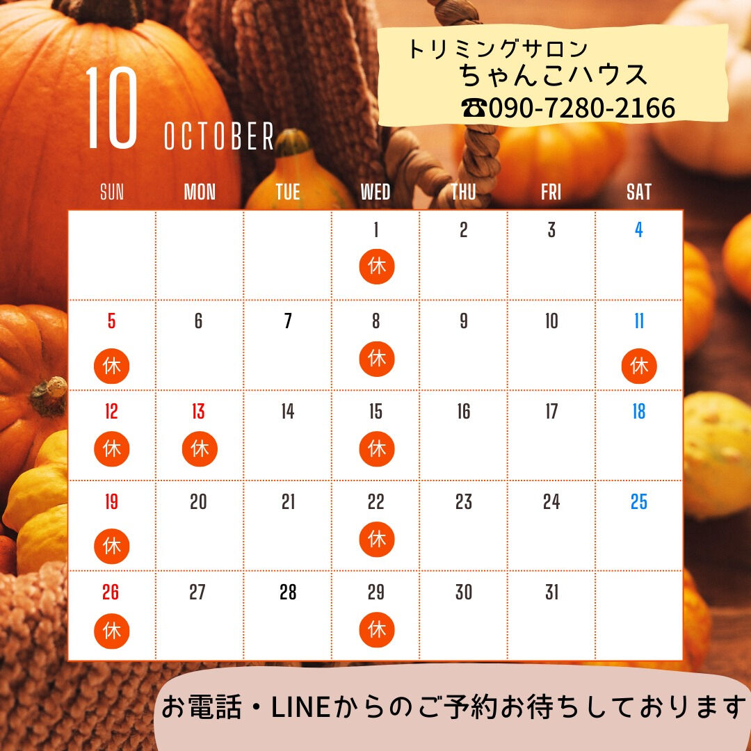 10月の予定になります😊