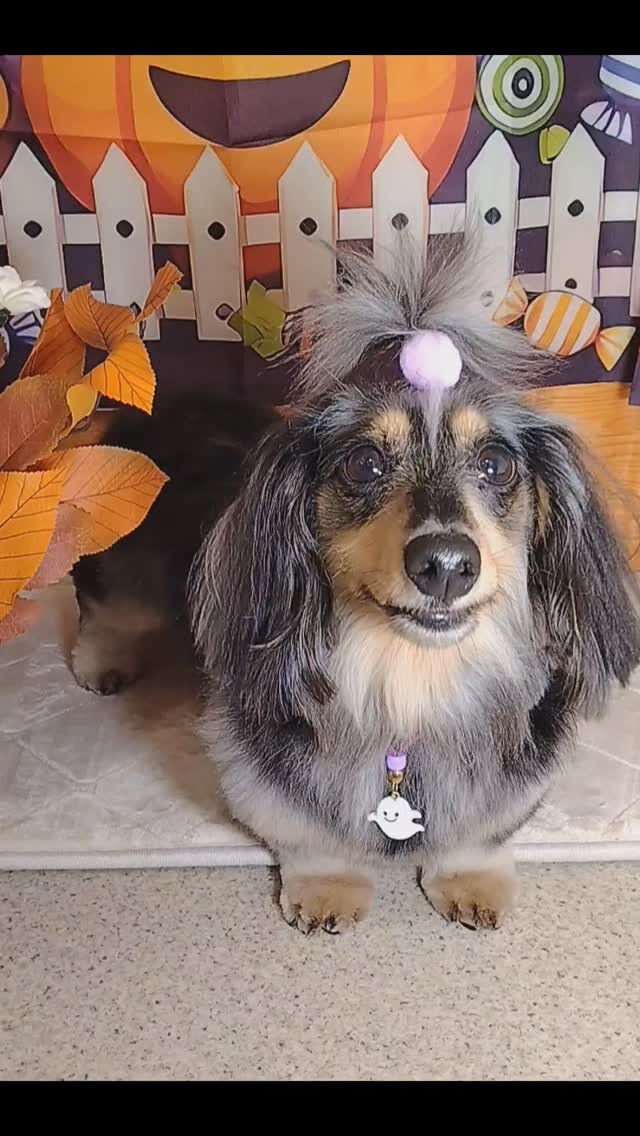 ジュースちゃん🐶