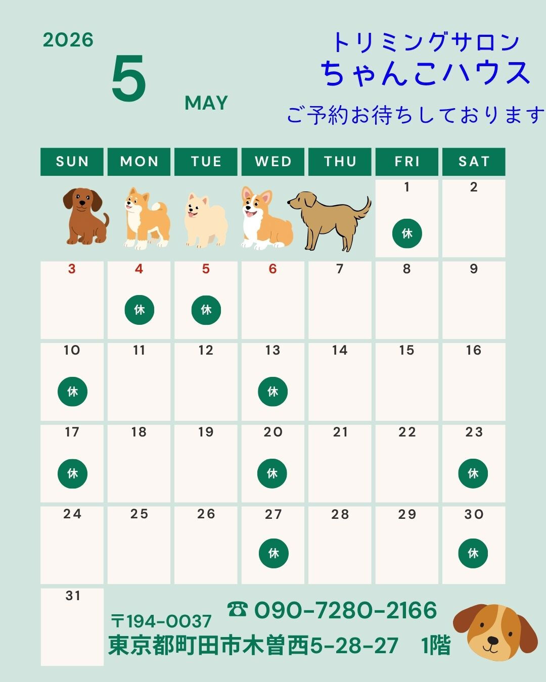 トリミングサロンちゃんこハウスからのお知らせです🐶