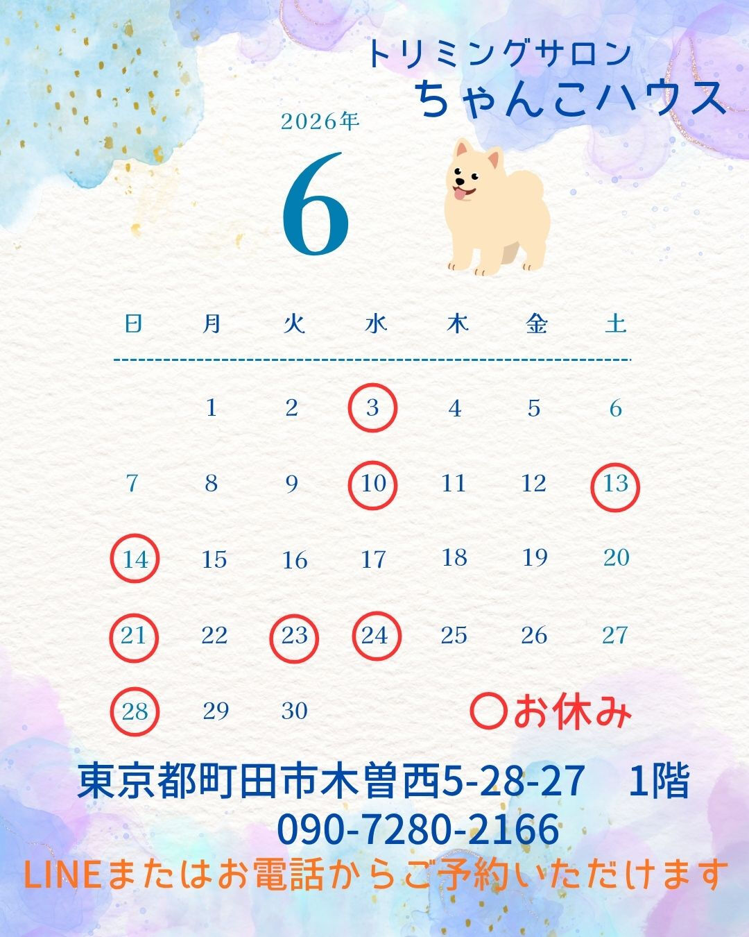 トリミングサロンちゃんこハウスの6月の予定です🐶