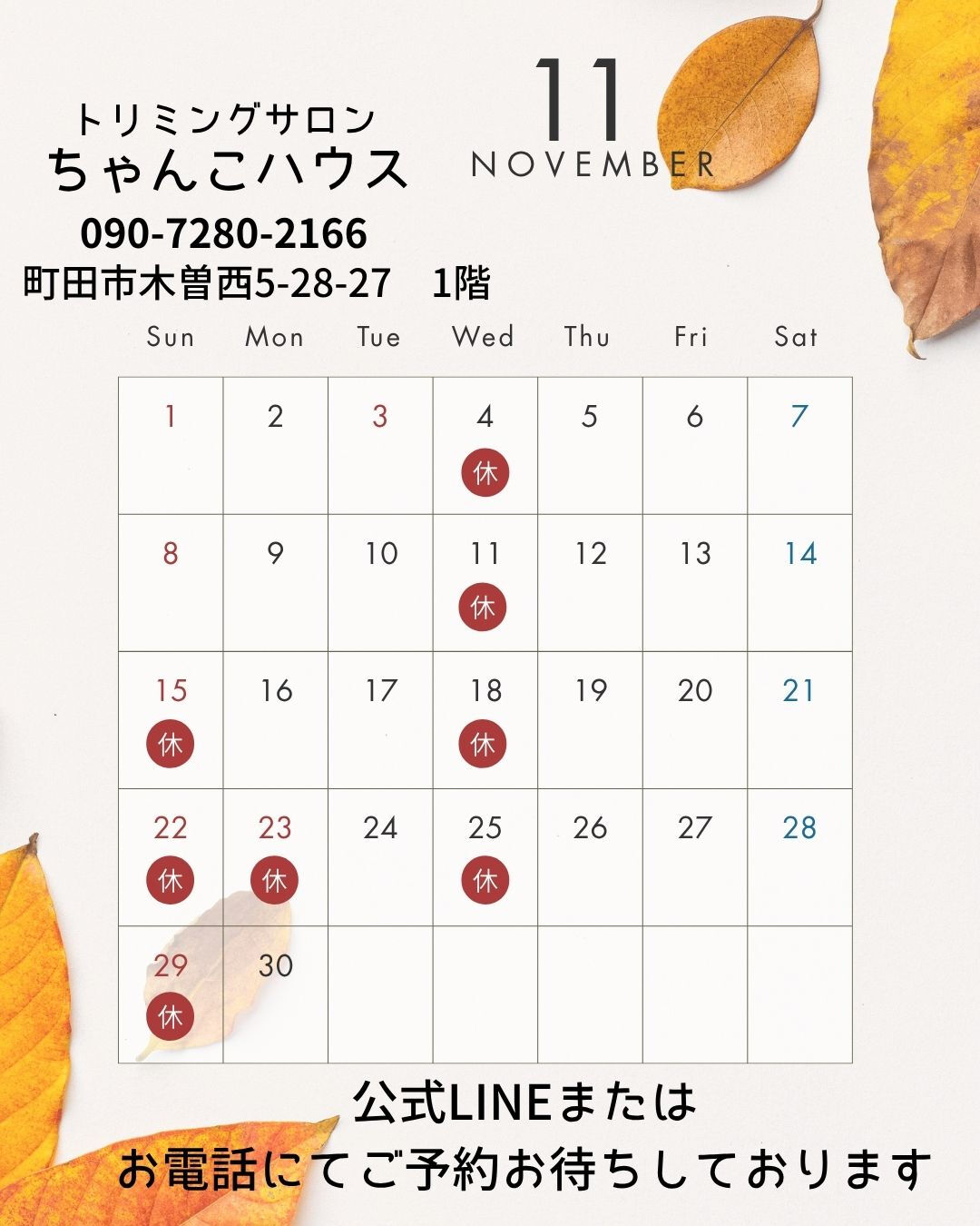 トリミングサロンちゃんこハウスの11月の予定になります😊
