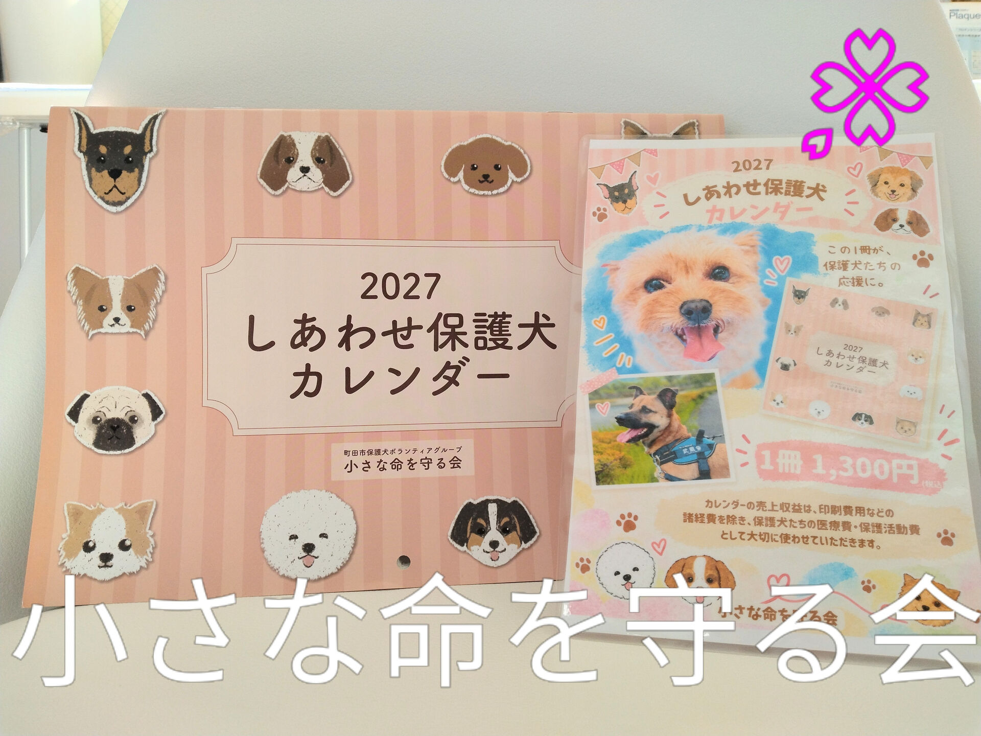 トリミングサロンちゃんこハウスからのお知らせです