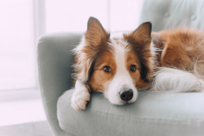 AdobeStock_279686158