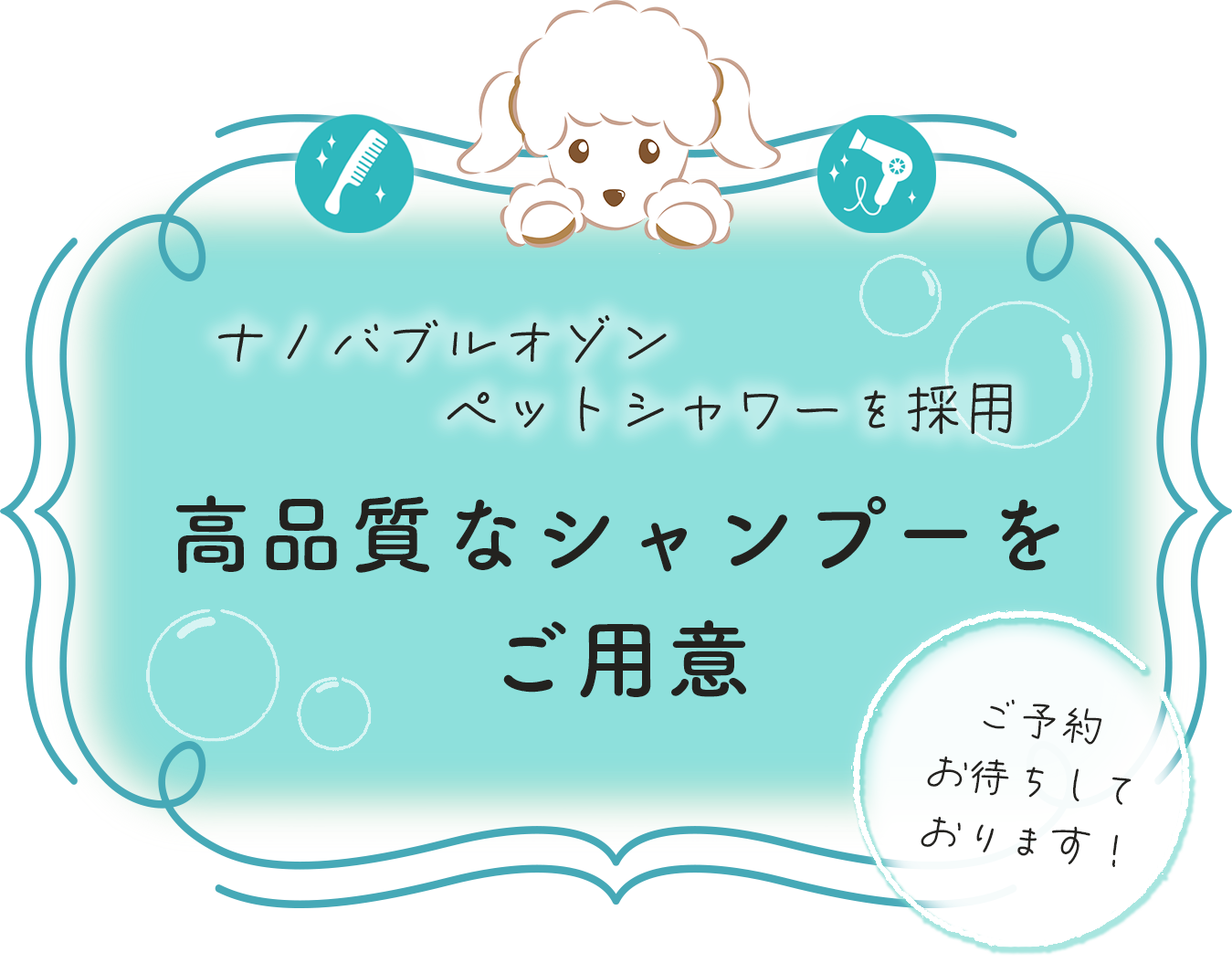 高品質なシャンプーをご用意