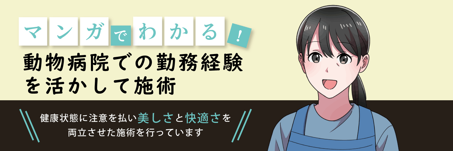 漫画特集